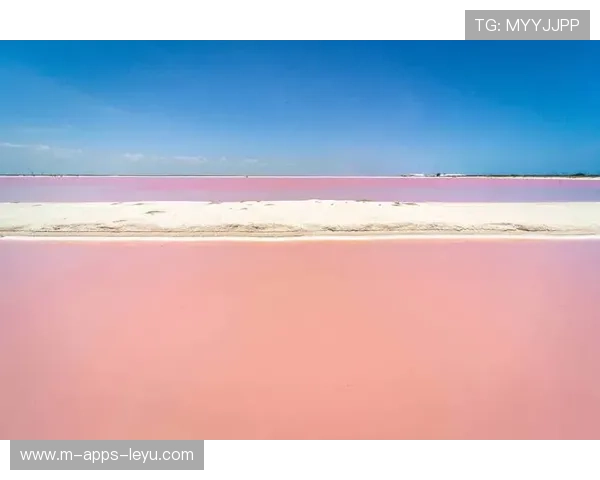 巴哈马特色沙滩运动品牌逐渐成型，巴哈马的景点