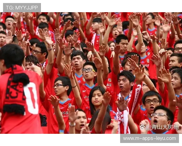 精彩回放：那些令球迷热血沸腾的瞬间！，球迷狂热