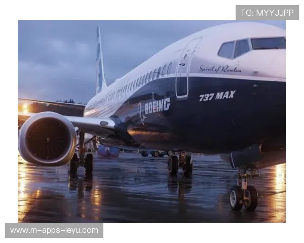 波音、大豆问题持续发酵，商务部回应释放哪些信号？，波音大什么意思