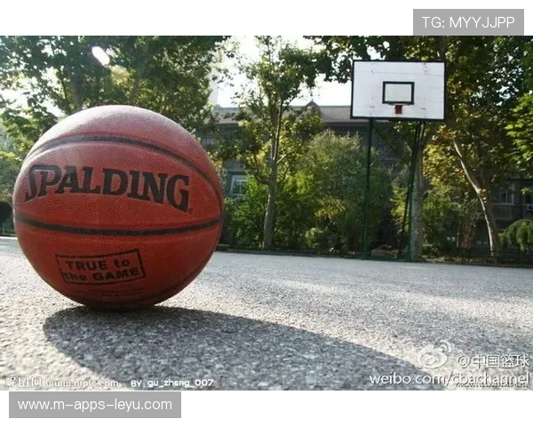 篮球在中国职业院校实训课程中的标准化路径研究，我国篮球职业化的过程